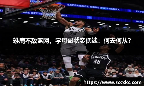 雷火电竞平台