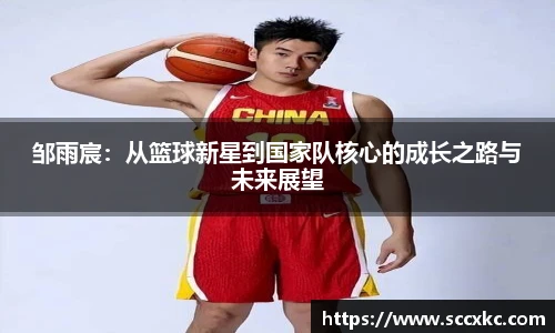 雷火电竞官网