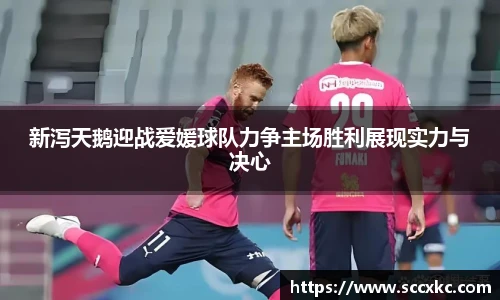 雷火电竞平台
