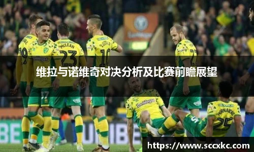 维拉与诺维奇对决分析及比赛前瞻展望